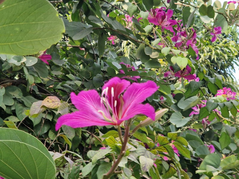 20231226_131013 (Kopiowanie).jpg