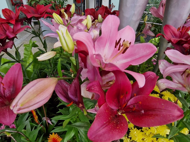 20231227_142702 (Kopiowanie).jpg