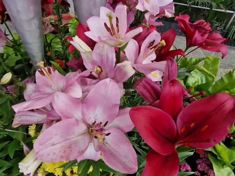 20231227_142747 (Kopiowanie).jpg