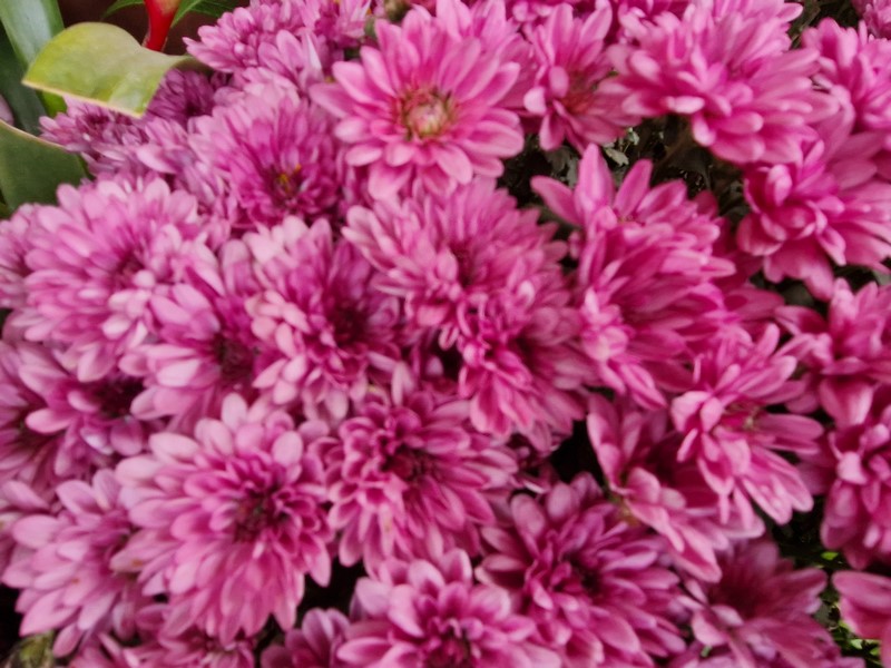 20231227_142755 (Kopiowanie).jpg