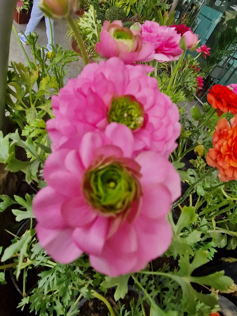 20231227_142815 (Kopiowanie).jpg