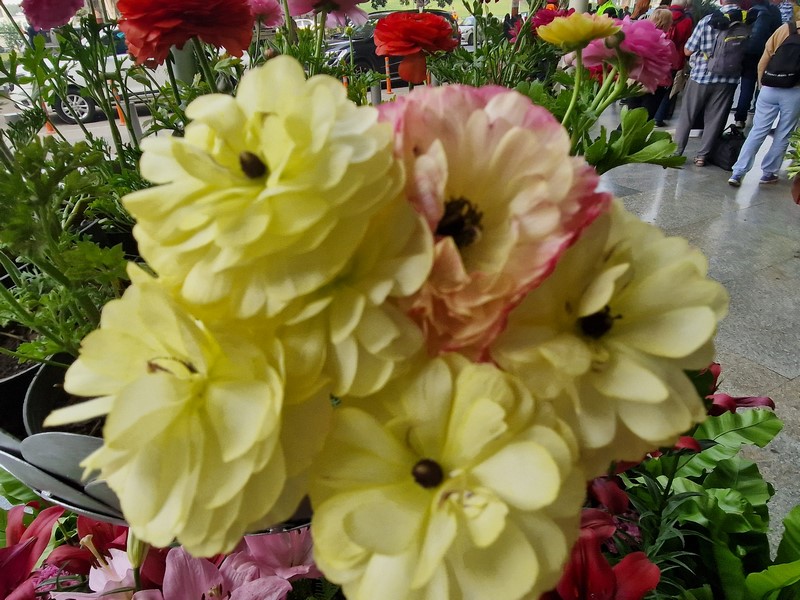 20231227_142822 (Kopiowanie).jpg