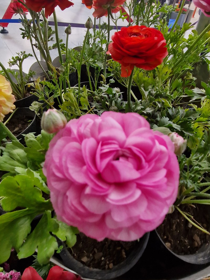 20231227_142837 (Kopiowanie).jpg