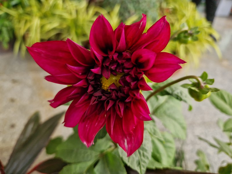 20231227_142912 (Kopiowanie).jpg