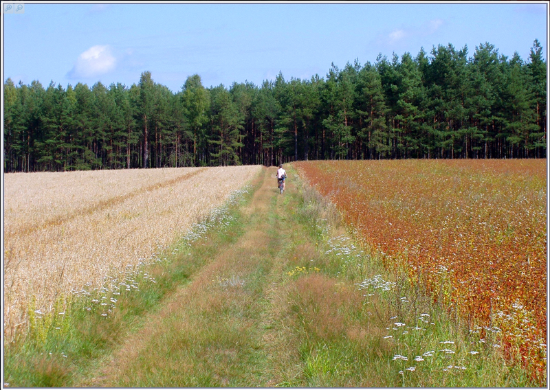 Zrzut ekranu 2024-02-24 184332.jpg