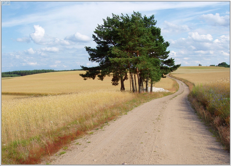 Zrzut ekranu 2024-02-24 184225.jpg