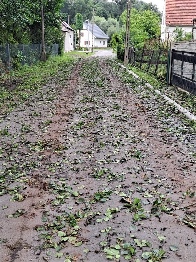 Zrzut ekranu 2024-03-07 140638.jpg