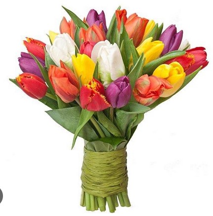 Zrzut ekranu 2024-03-08 192949.jpg