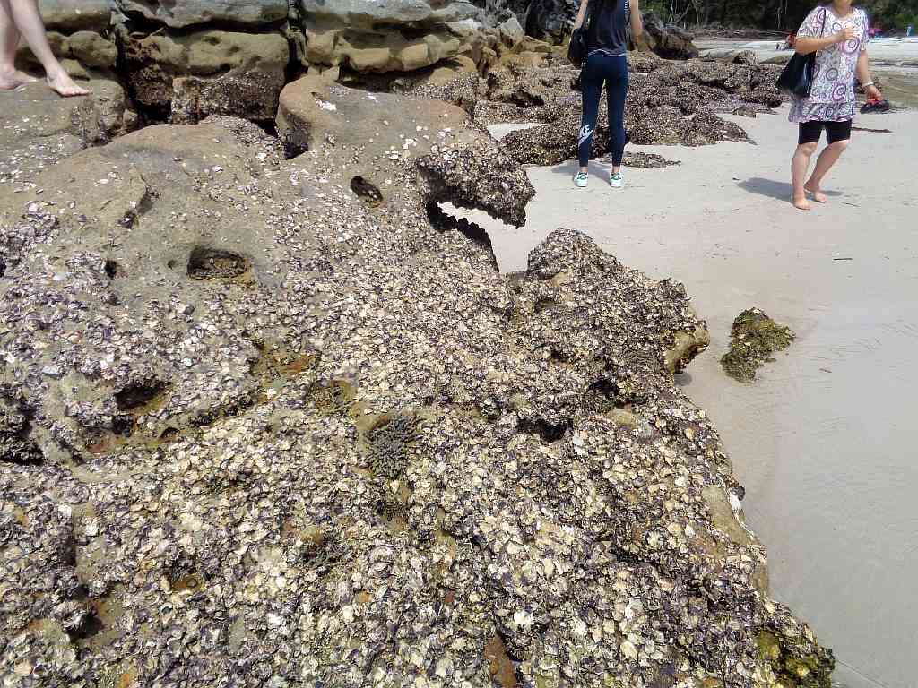 Skała na plaży.jpg