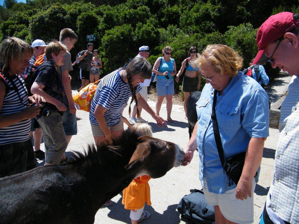 Chorwacja VII 2010 277.jpg