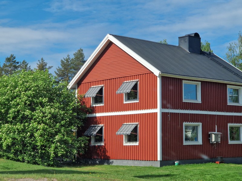 20240603_084959 (Kopiowanie).jpg