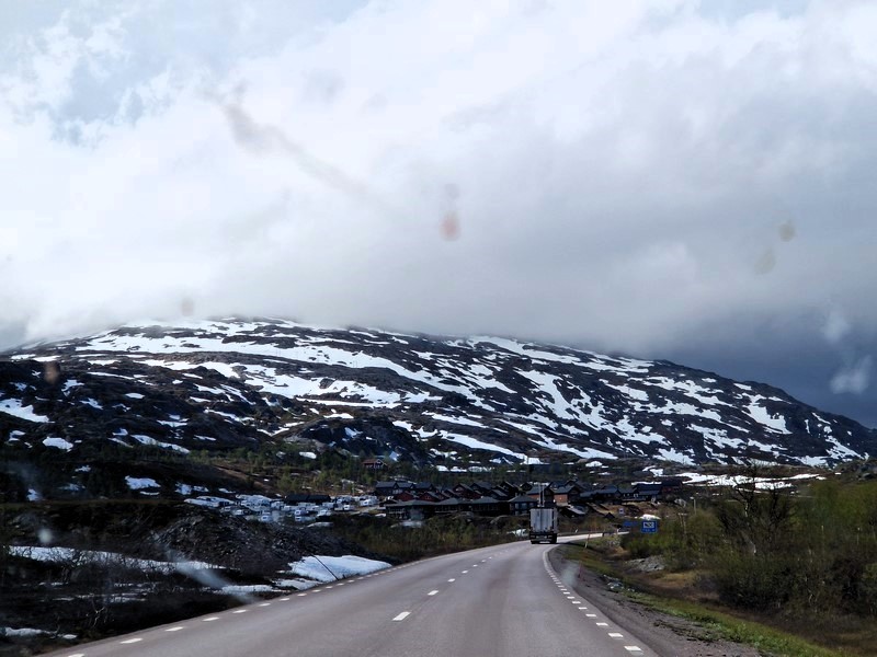 20240603_131736 (Kopiowanie).jpg