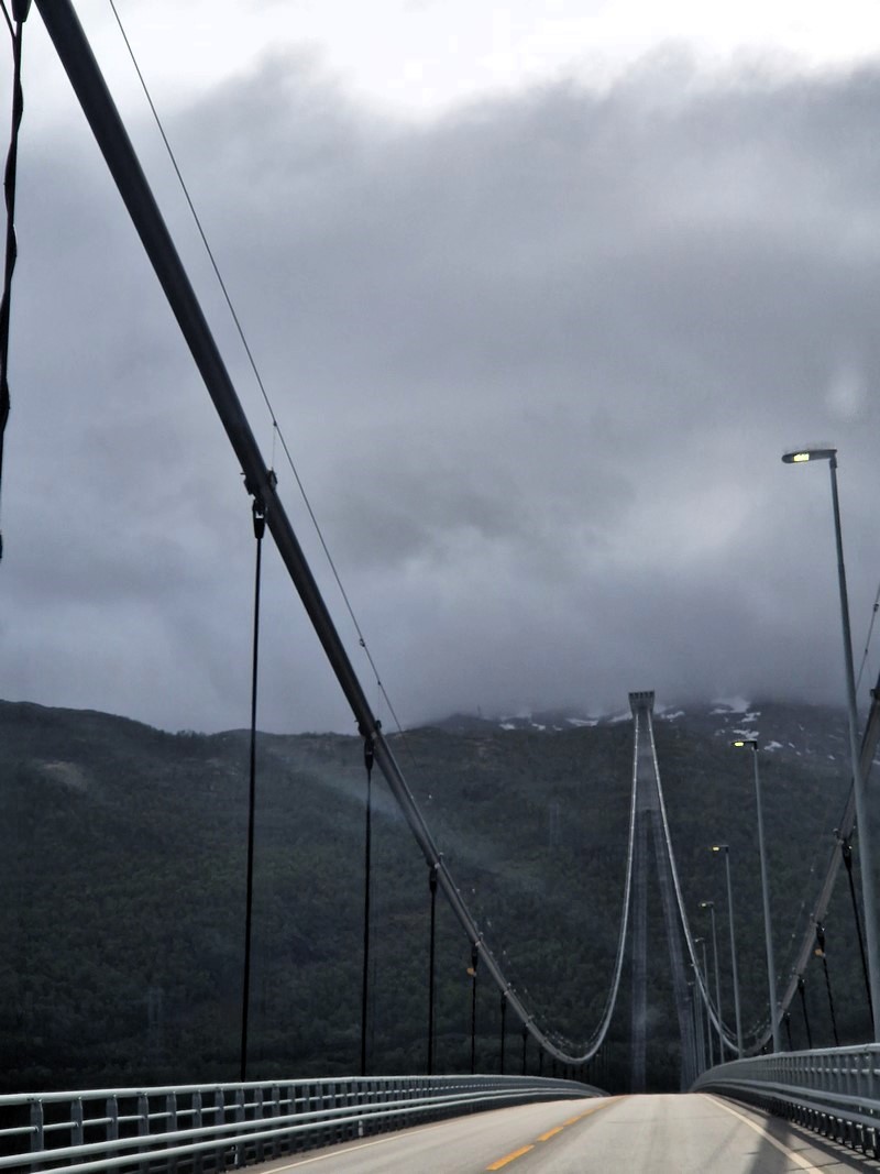 20240603_135609 (Kopiowanie).jpg