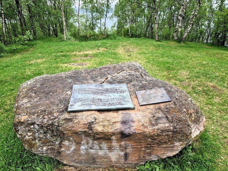 20240603_142557 (Kopiowanie).jpg