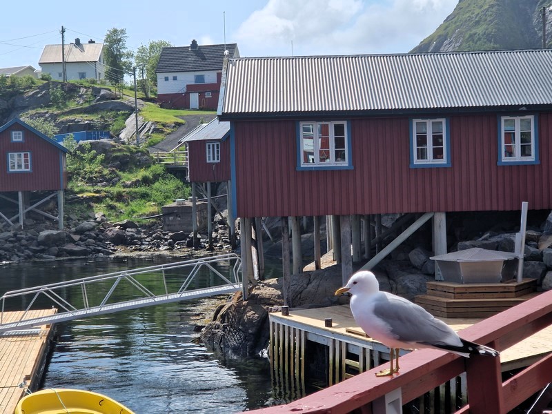 20240604_141142 (Kopiowanie).jpg