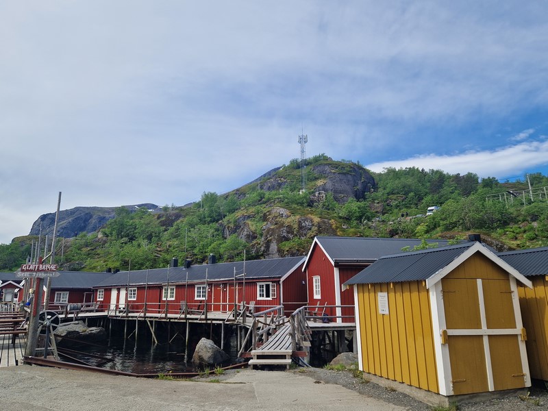 20240605_105058 (Kopiowanie).jpg