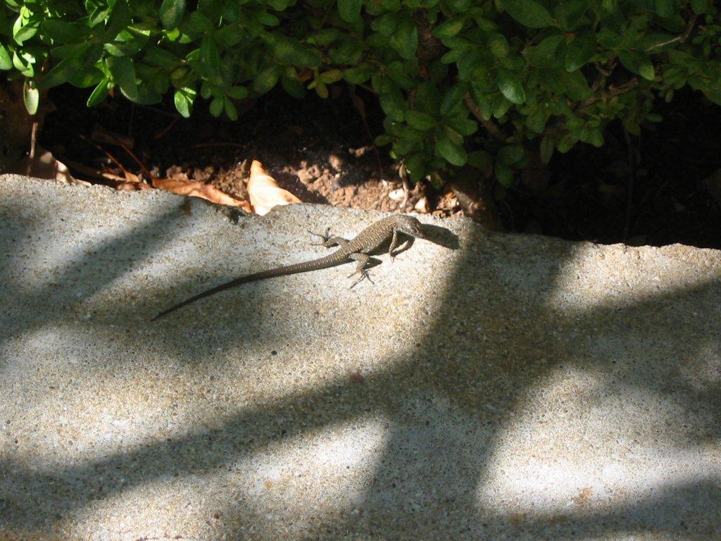 Chorwacja 2003 (56).jpg