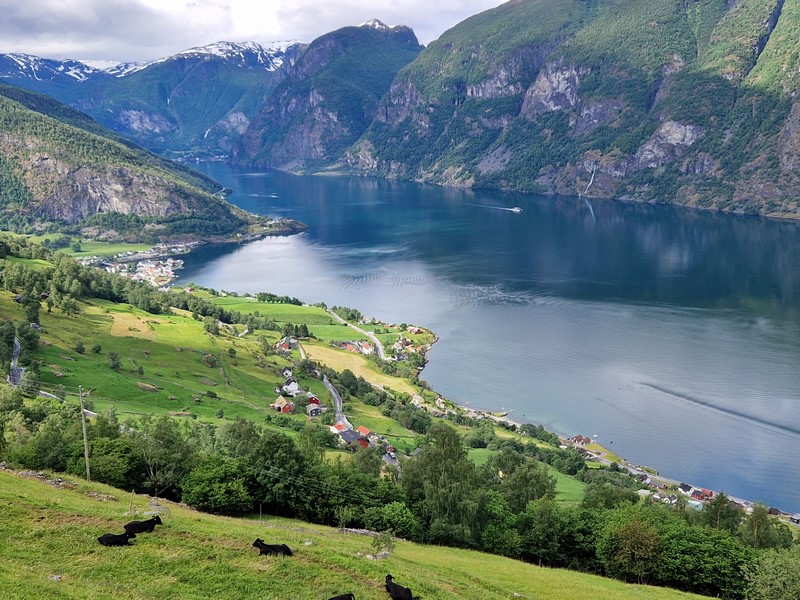 20240616_095327 (Kopiowanie).jpg