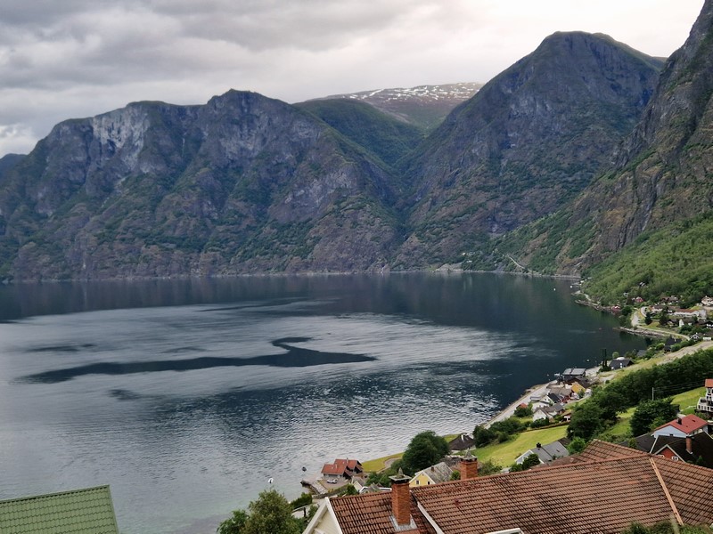 20240616_105301 (Kopiowanie).jpg