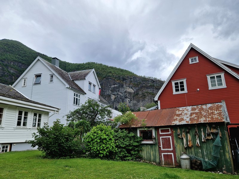 20240616_110412 (Kopiowanie).jpg