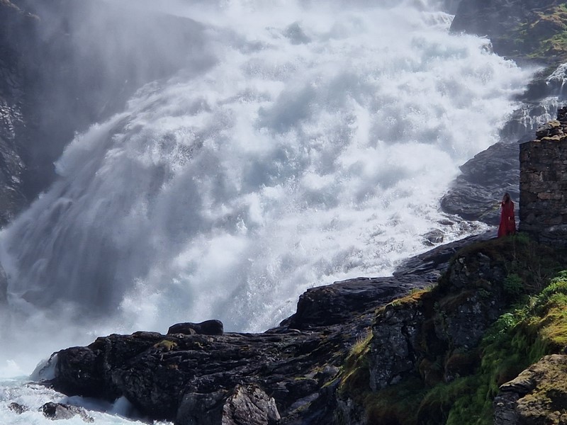 20240616_141141 (Kopiowanie).jpg