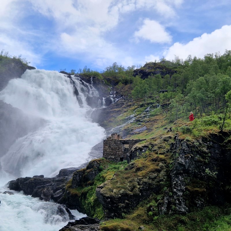 20240616_150058 (Kopiowanie).jpg