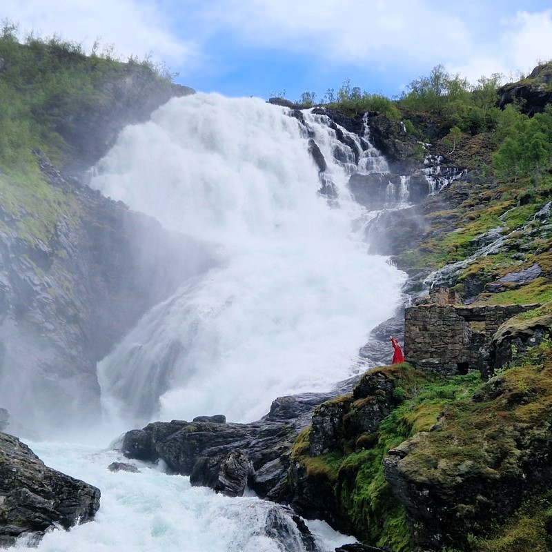 20240616_150117 (Kopiowanie).jpg