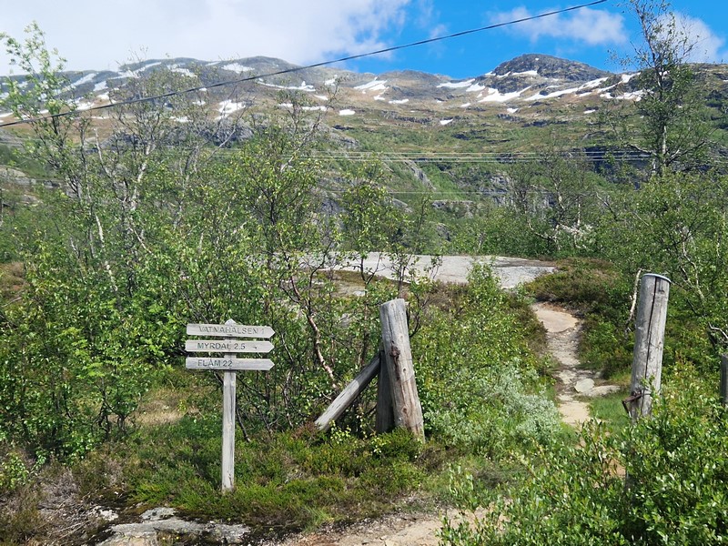 20240616_142116 (Kopiowanie).jpg