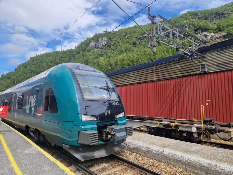 20240616_143631(0) (Kopiowanie).jpg