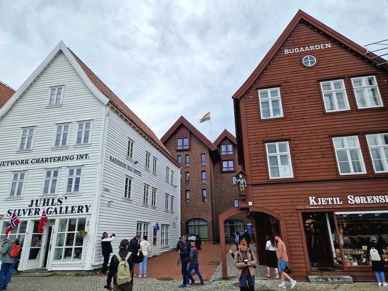 20240617_114955 (Kopiowanie).jpg