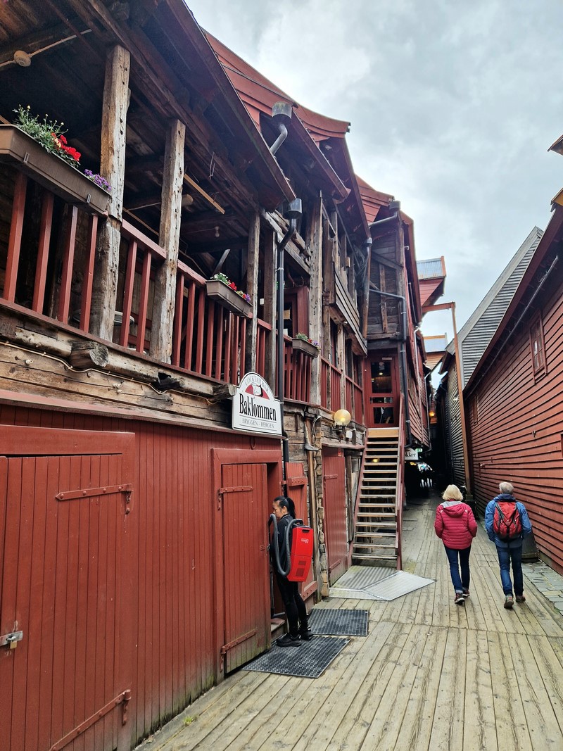 20240617_115237 (Kopiowanie).jpg