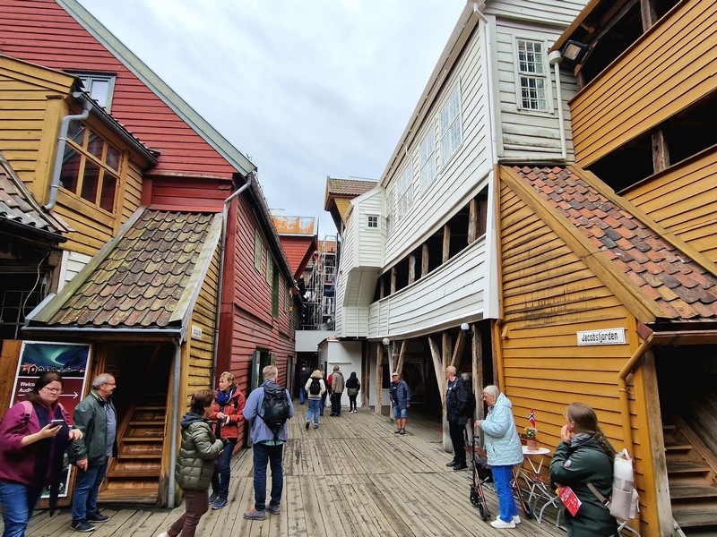 20240617_115734 (Kopiowanie).jpg