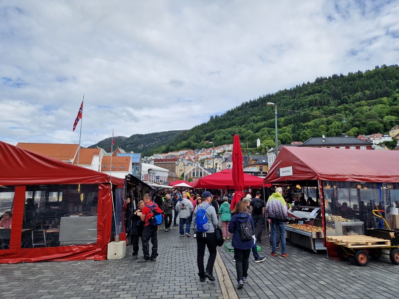 20240617_124731 (Kopiowanie).jpg