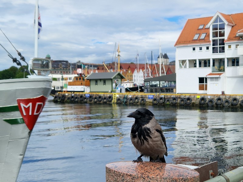 20240617_124842 (Kopiowanie).jpg