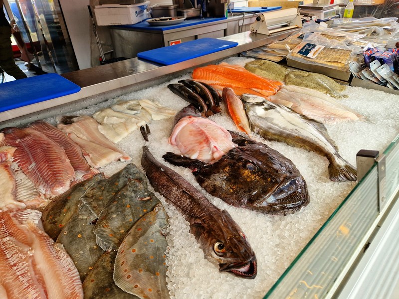 20240617_125929 (Kopiowanie).jpg