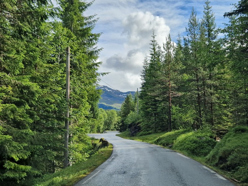 20240618_101019 (Kopiowanie).jpg