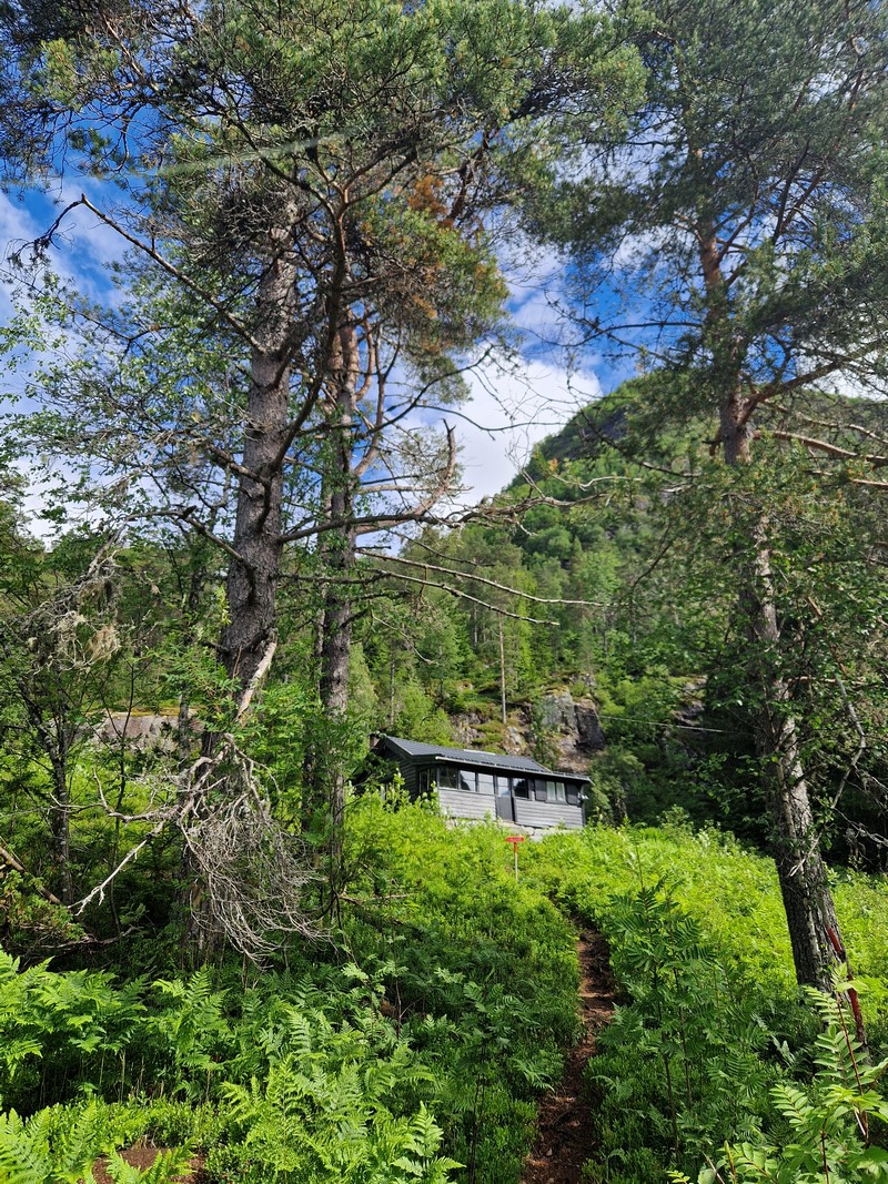 20240618_103050 (Kopiowanie).jpg