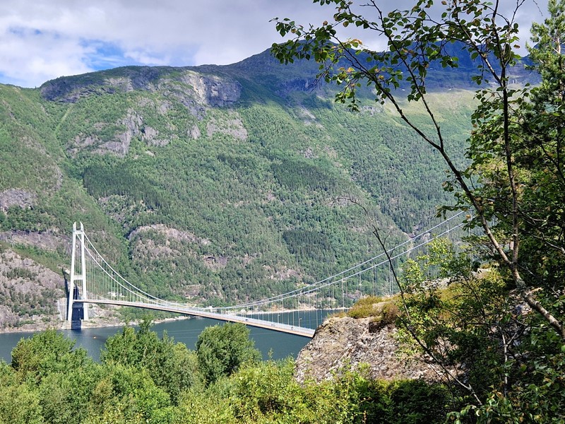 20240618_114635 (Kopiowanie).jpg