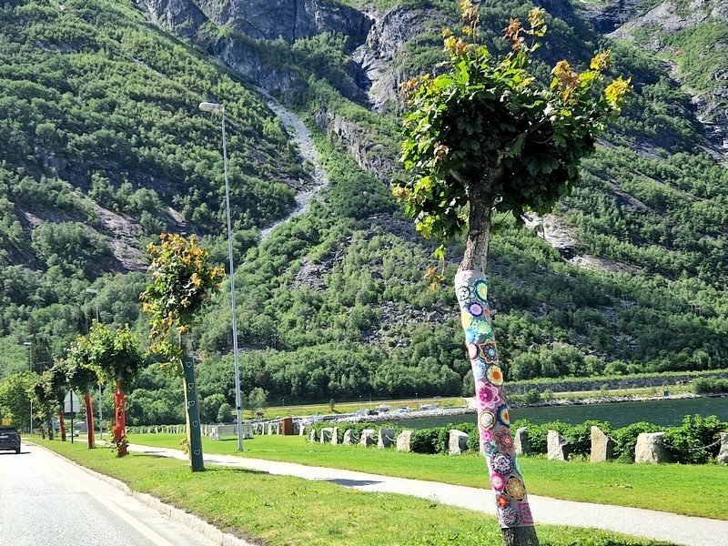 20240618_140751 (Kopiowanie).jpg