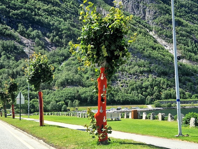 20240618_140753 (Kopiowanie).jpg