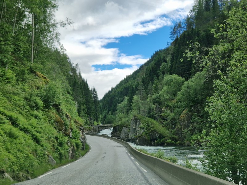 20240618_162331 (Kopiowanie).jpg