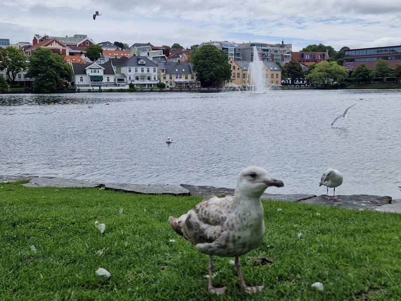 20240619_132905 (Kopiowanie).jpg