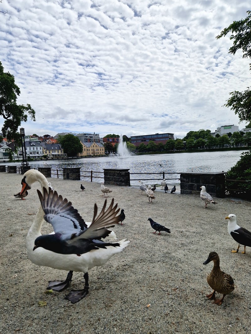 20240619_133030 (Kopiowanie).jpg