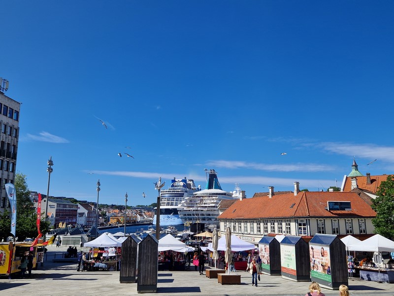 20240619_155141 (Kopiowanie).jpg