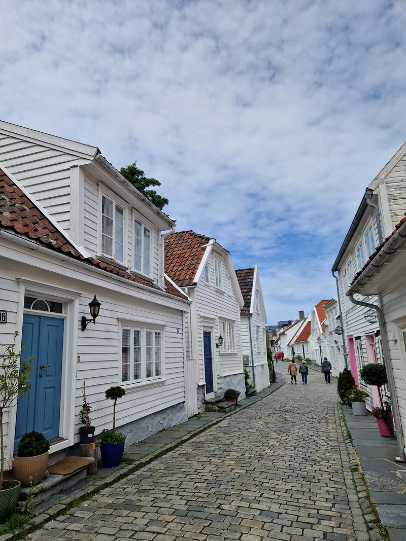 20240619_140218 (Kopiowanie).jpg