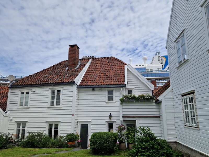 20240619_140314 (Kopiowanie).jpg