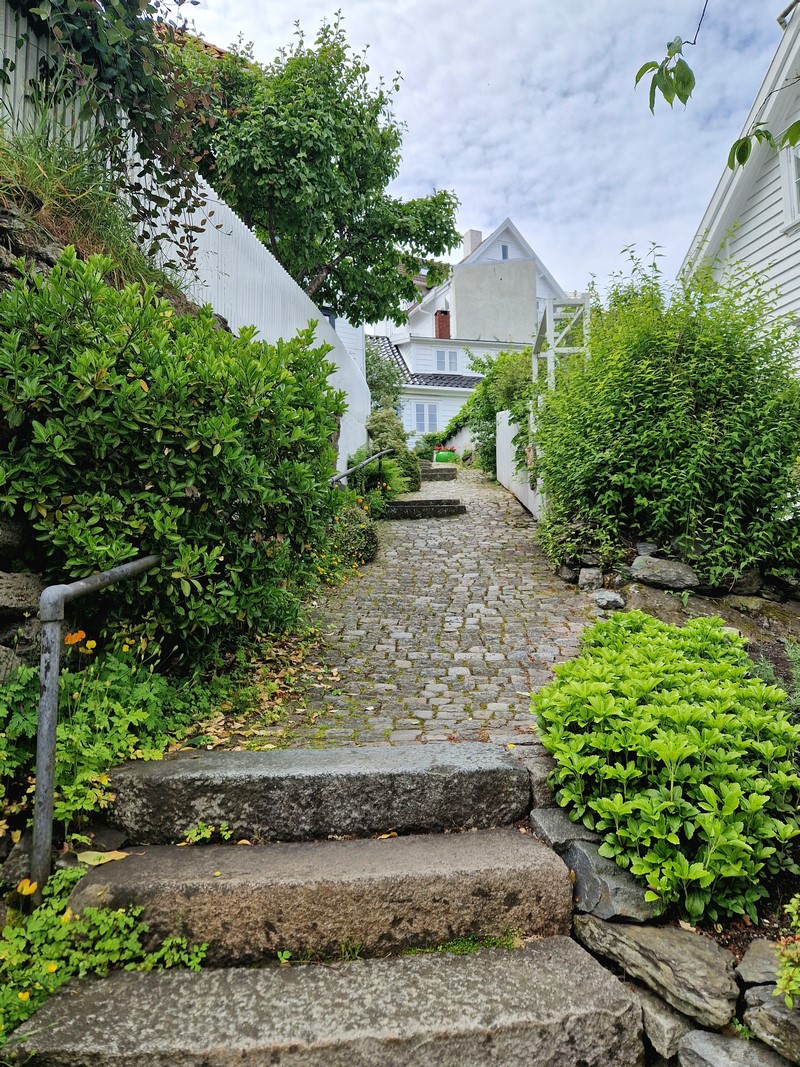 20240619_141509 (Kopiowanie).jpg