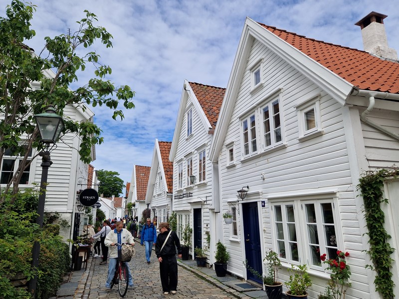 20240619_141542 (Kopiowanie).jpg