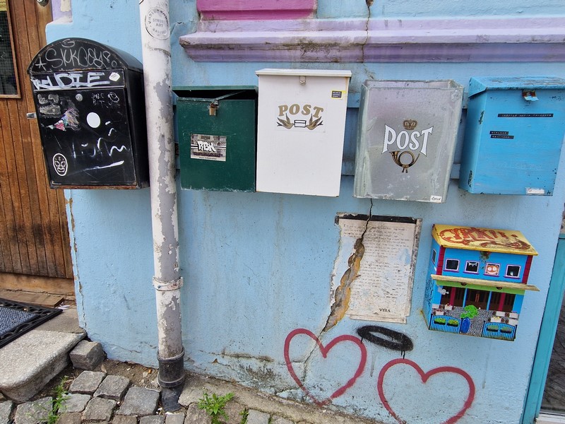 20240619_144937 (Kopiowanie).jpg