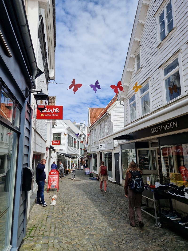 20240619_150224 (Kopiowanie).jpg